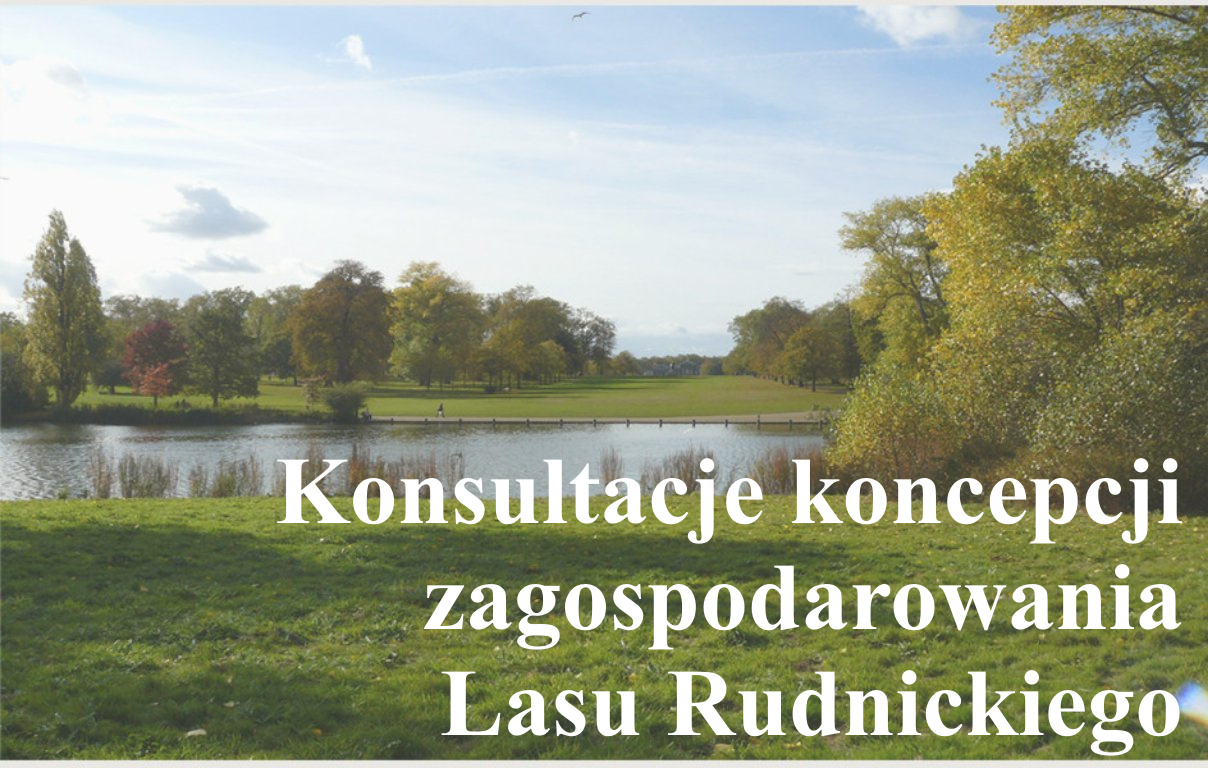 Las rudnicki - koncepcja