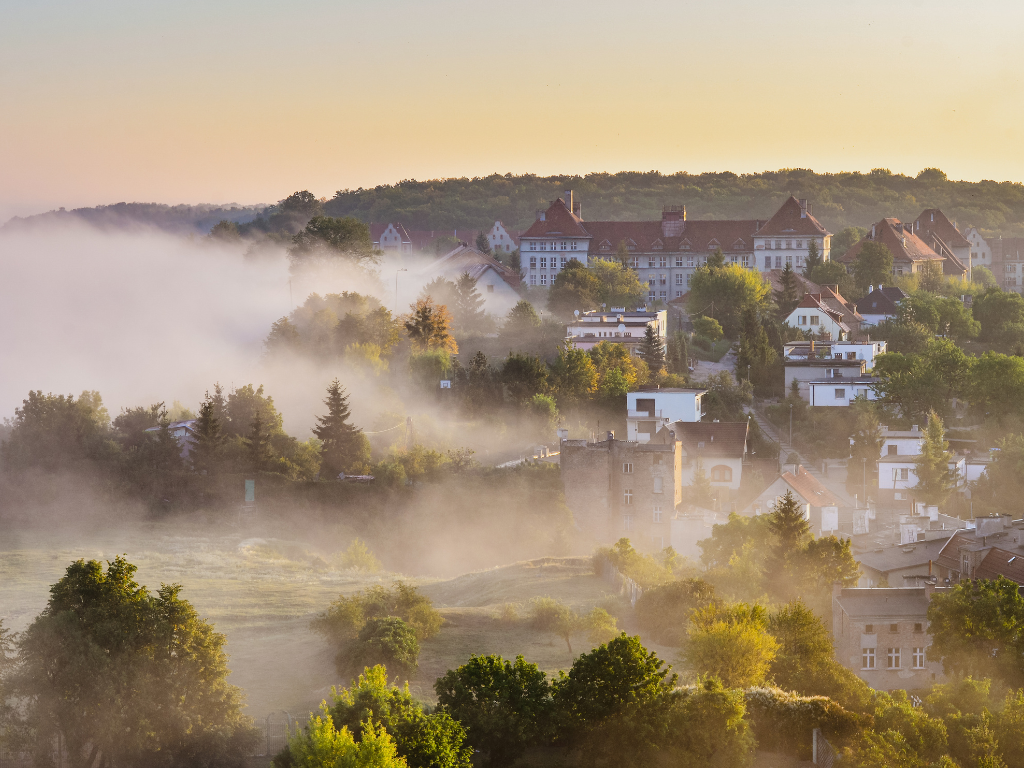 Fotografia przedstawia widok na dzielnicę Małe Tarpno.