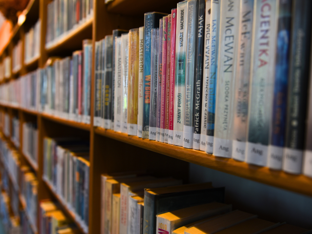 Fotografia przedstawia książki w bibliotece.