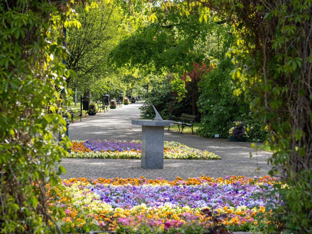 Fotografia przedstawia widok na Ogród Botaniczny. 