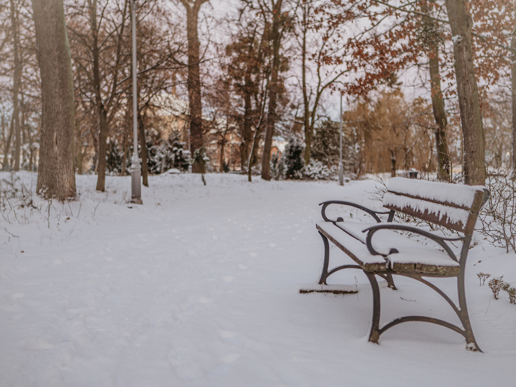 Fotografia przedstawia ścieżkę w Parku Miejskim im. Piotra Janowskiego..
