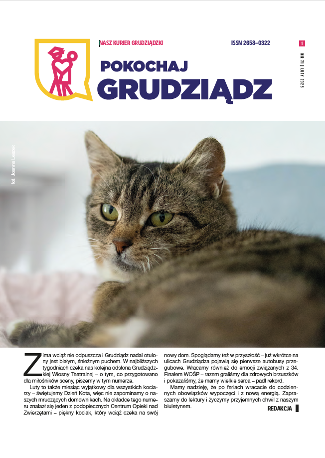 Grafika przedstawia okładkę Lokalnego biuletynu samorządowego pn.