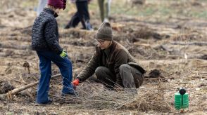 Grudziądzanie sadzą las 